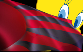 tweedy_behind_flag.jpg